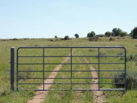 AUCTION GATE 1.2x1.2 2
